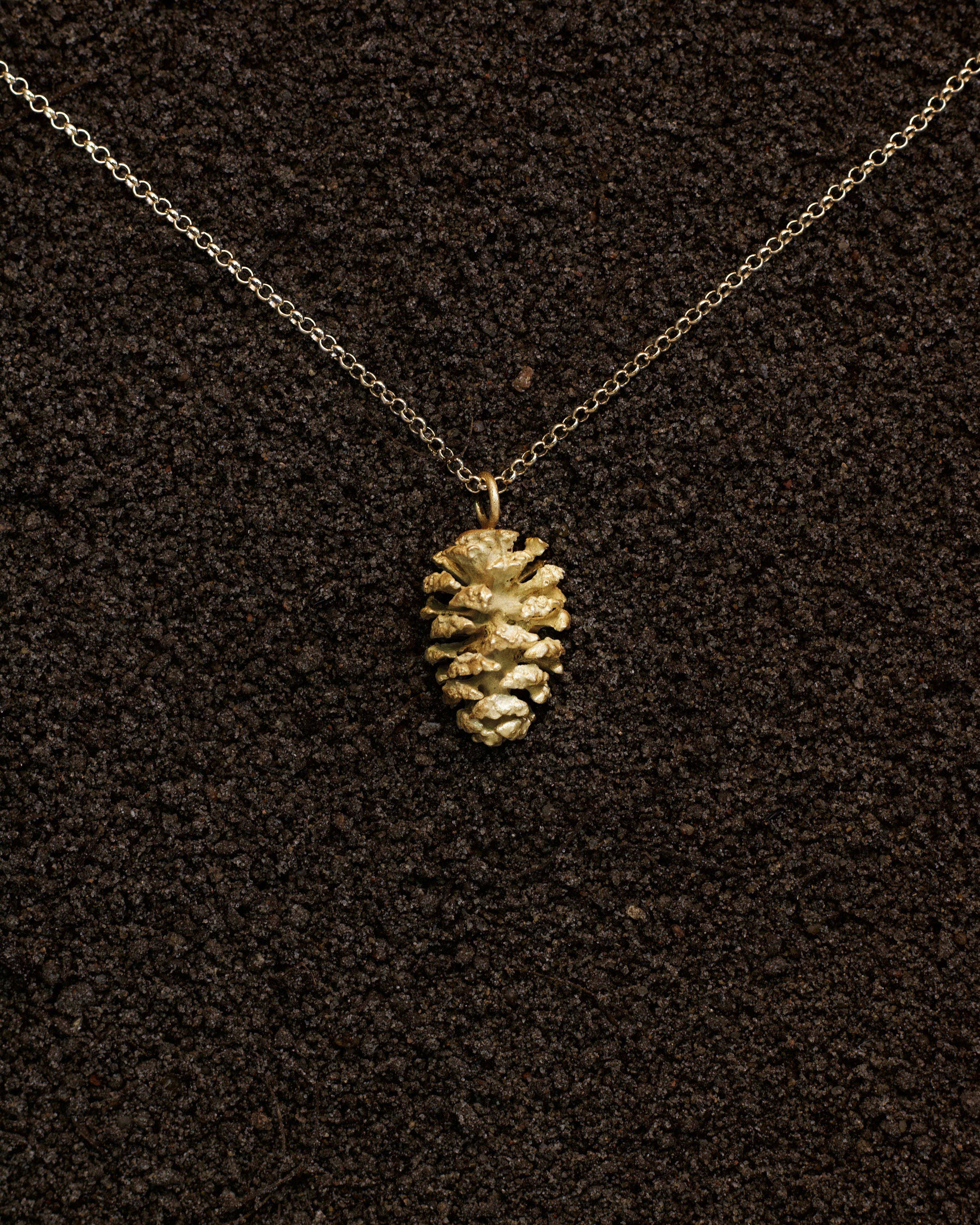 Alder cone