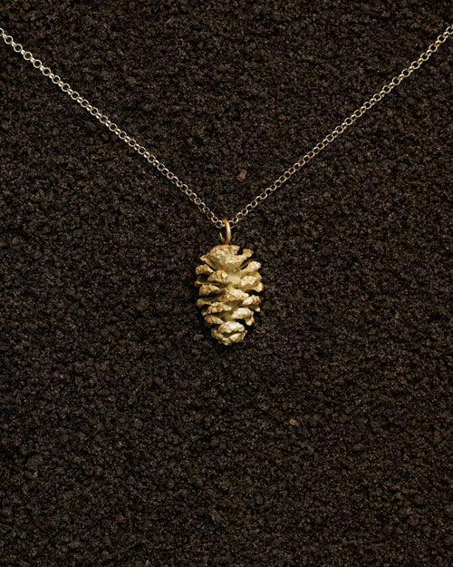 Alder cone