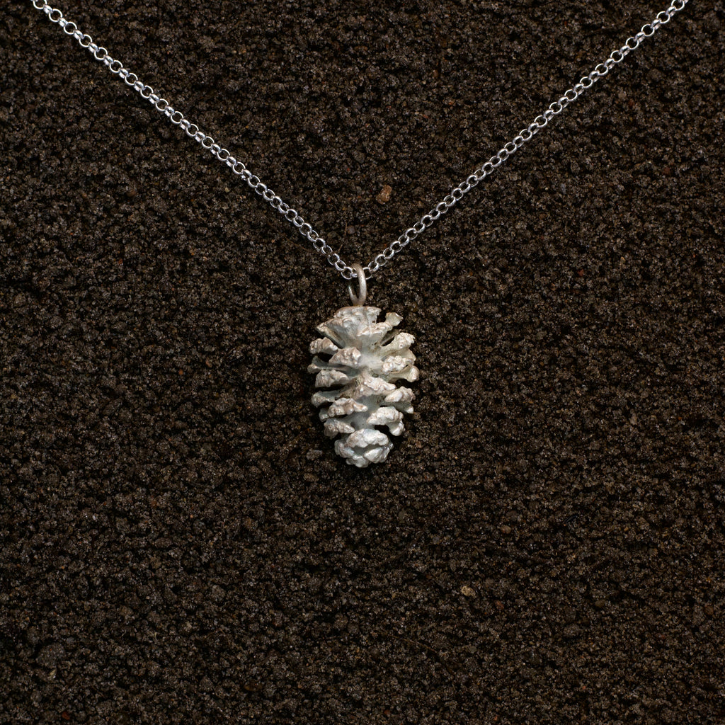 Alder cone
