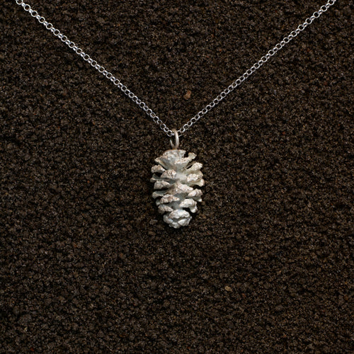 Alder cone
